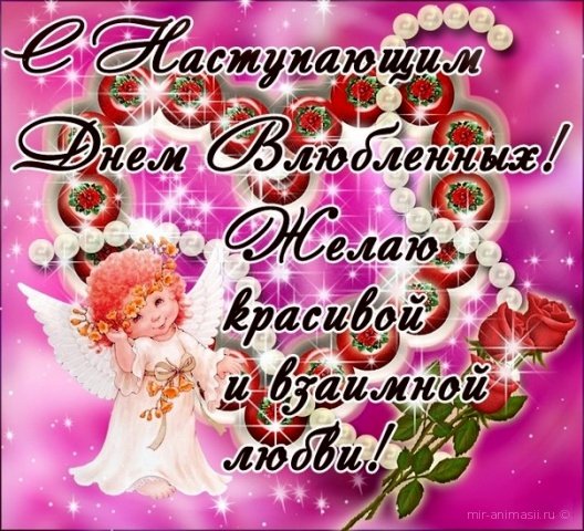 file_81167924