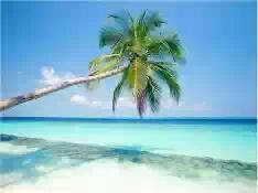 Paradise