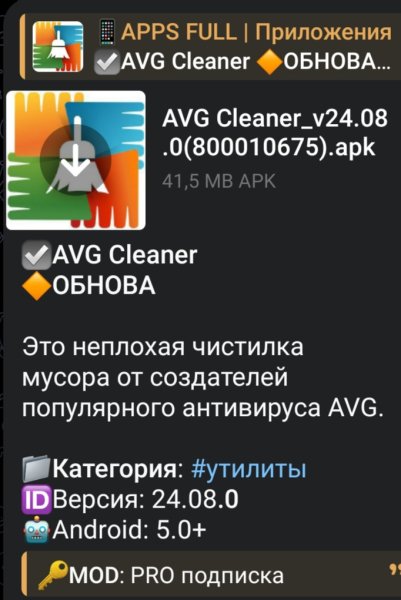 AVG Cleaner v24.08.0(800010675)