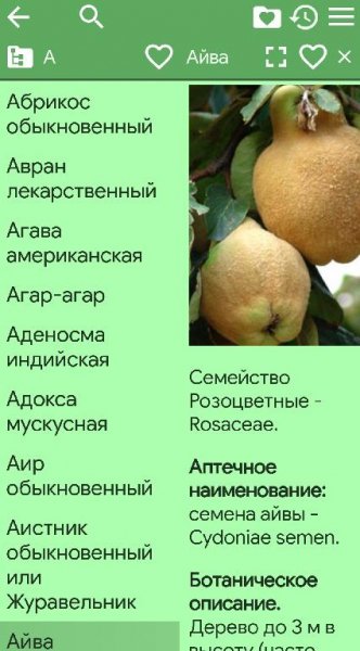 Лекарственные растения (2.96) Рекламы нет