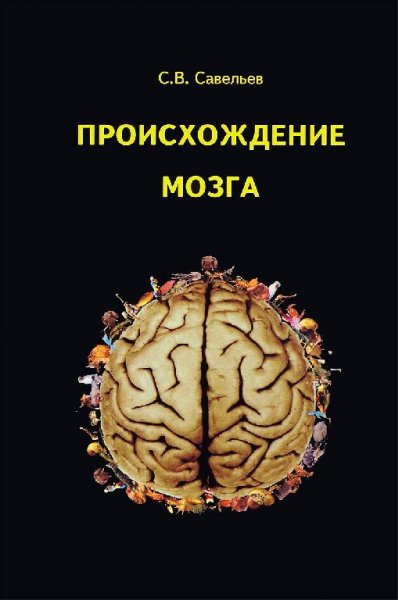 Происхождение мозга