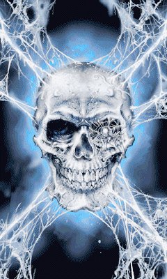 skull-[12]