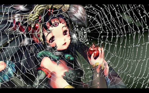 Black Widows Web