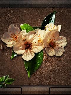 New Life