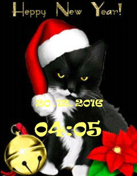 Счастливого нового года!