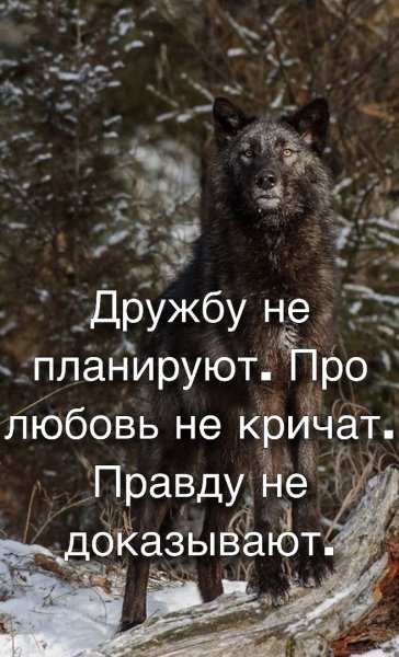 Хорошо сказано