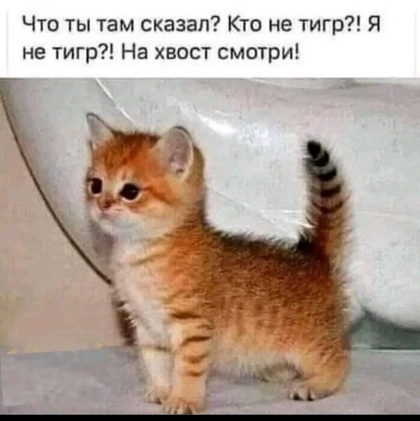 FB IMG 16591981452352969