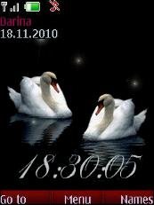 Swans