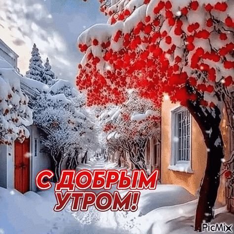 IMG 20260115 104953