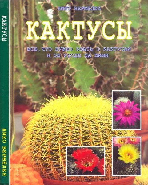 Н.Вермёлен. Кактусы.2001