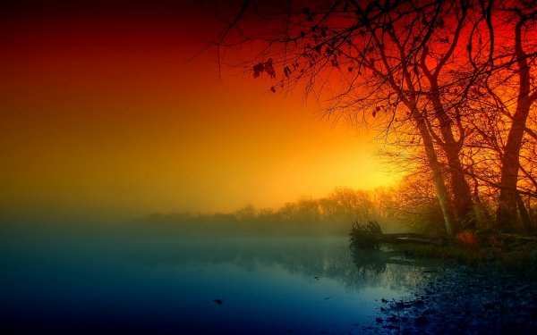 ComputerDesktopWallpapersCollection1424 010