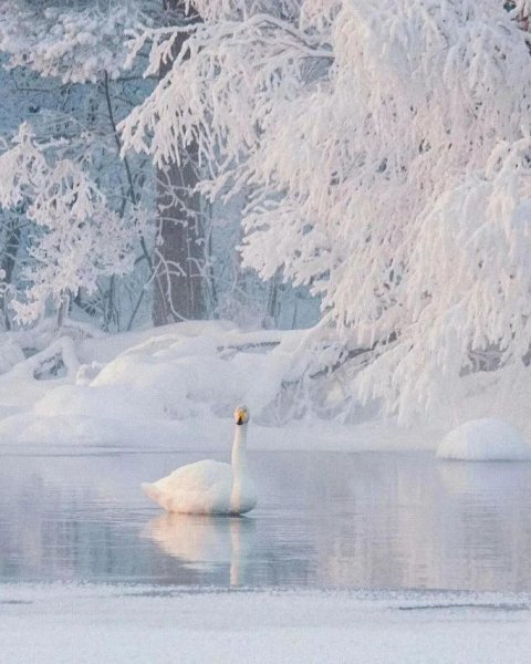 IMG-5ef58e39ed8d70c066c5607206d54cd3-V