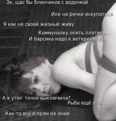 file_99395586