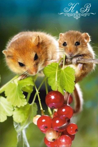 file_52357685