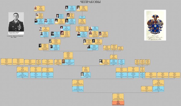 Drevo311 [tfile.ru]