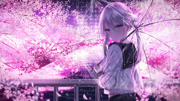 file_91712489