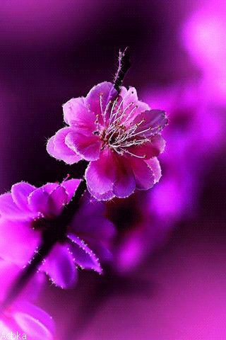 file_76416592
