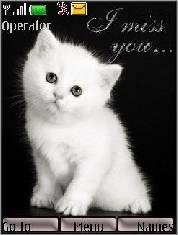 kittens anim