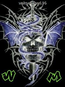 Skull