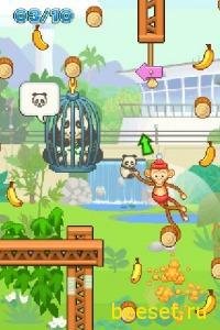 crazy monkey