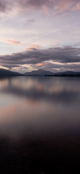 file_93610215