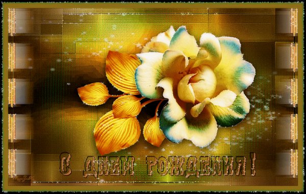 0 eabcf 7f5a70a XL