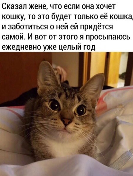 file_102323215