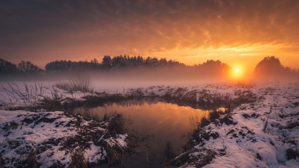 file_93632528