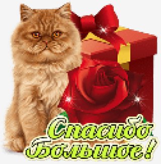 SPASIBO BOLbWOE