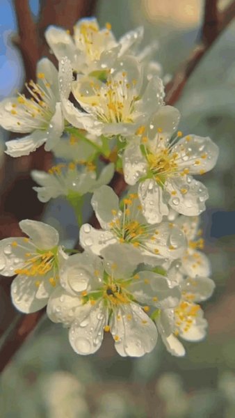 file_102840256