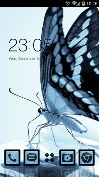 Butterfly