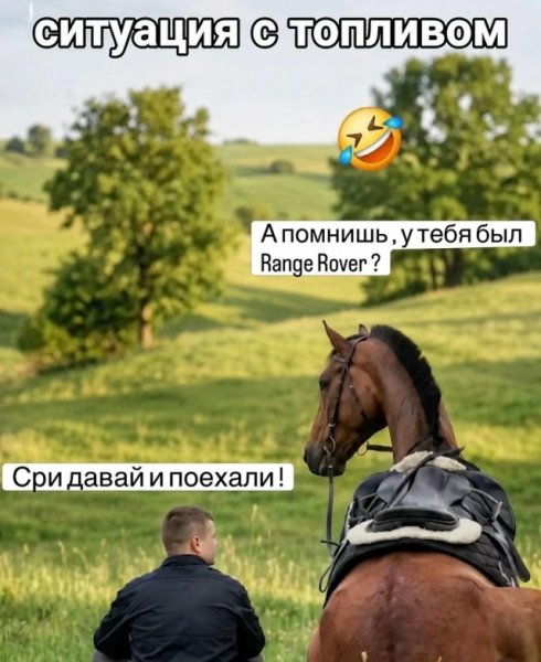 file_103286373