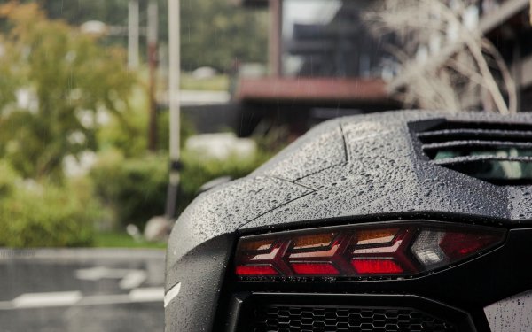 Фото00007