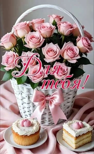 IMG 20260812 011838