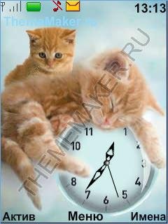 Рыжие котята