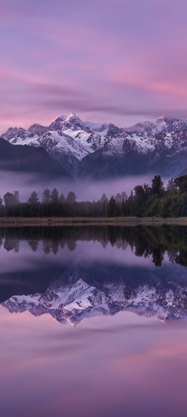 file_100329546