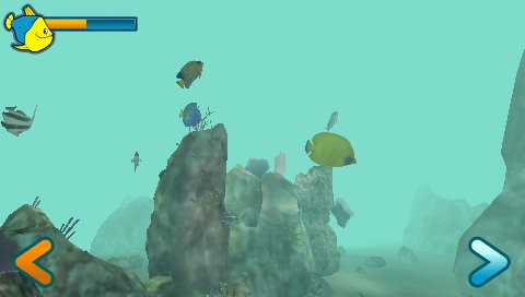 Reef Aquarium