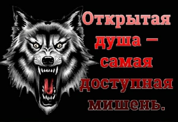 Открытая душа
