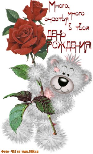 день рождения