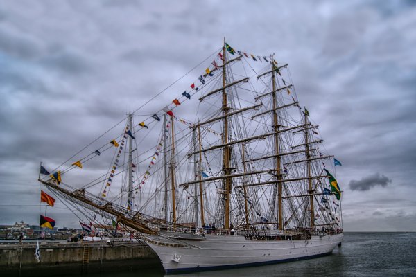 IMG cisne branco viter59