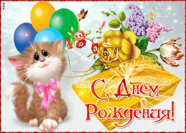 file_80001563