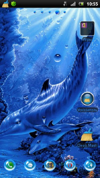 dolphinsli