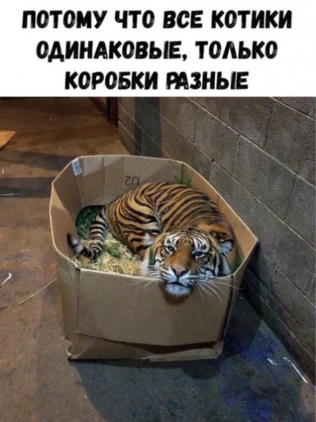 file_75959032