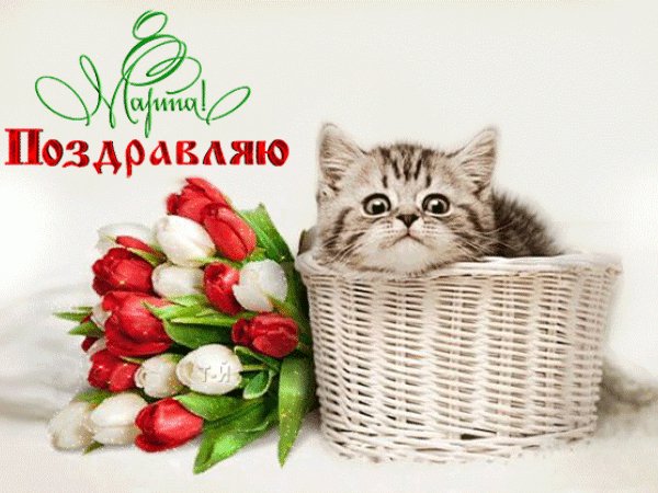 file_92971627