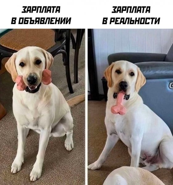 file_100309191