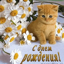 С Днём Рождения