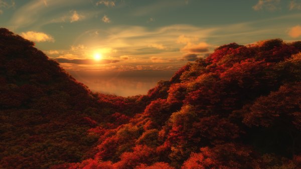 file_77583583
