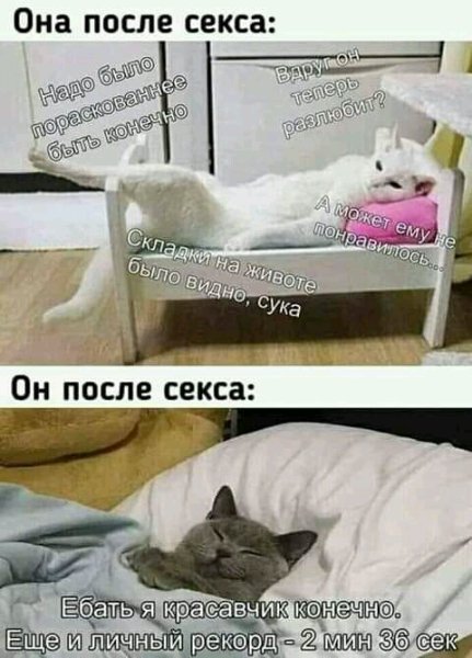 FB IMG 15906628894925451