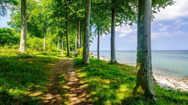file_97465375