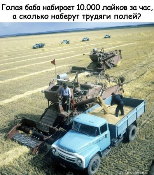 file_80311175
